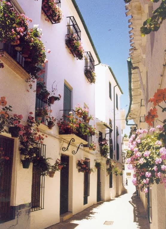 بييغو ذي كورذوبا La Posada Real المظهر الخارجي الصورة